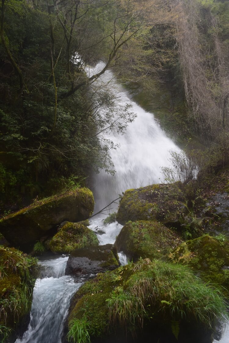 白水の滝の山道の滝